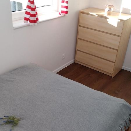 Domki Osada Kalinowa Leba Nowecin Sauna 外观 照片